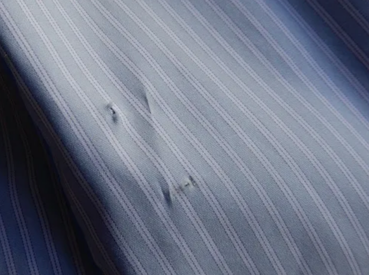 코튼 스탠드 컬러 블라우스 Blue Stripe B