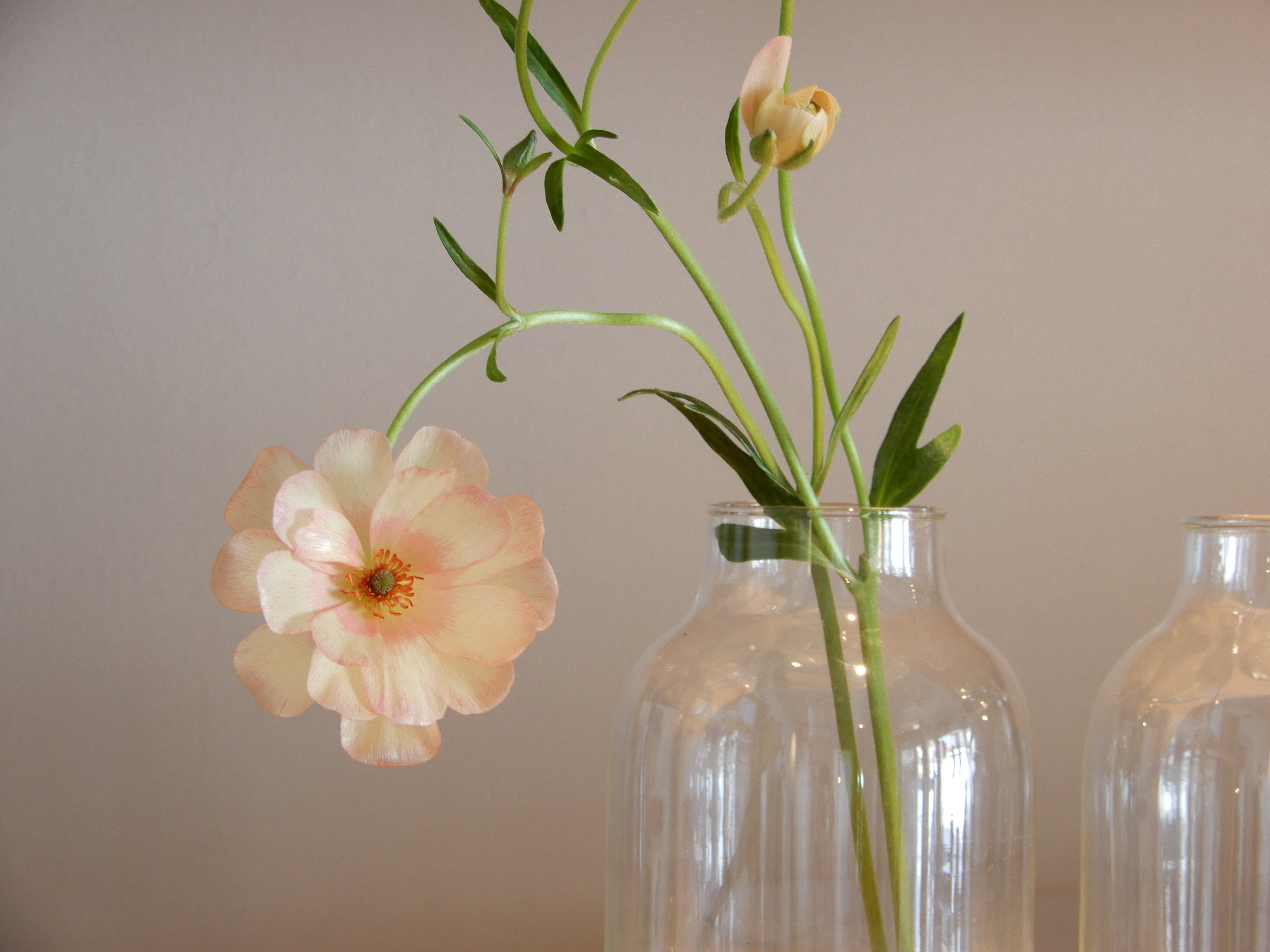 毎日変わらぬ在り方で皆さまをお迎えしています