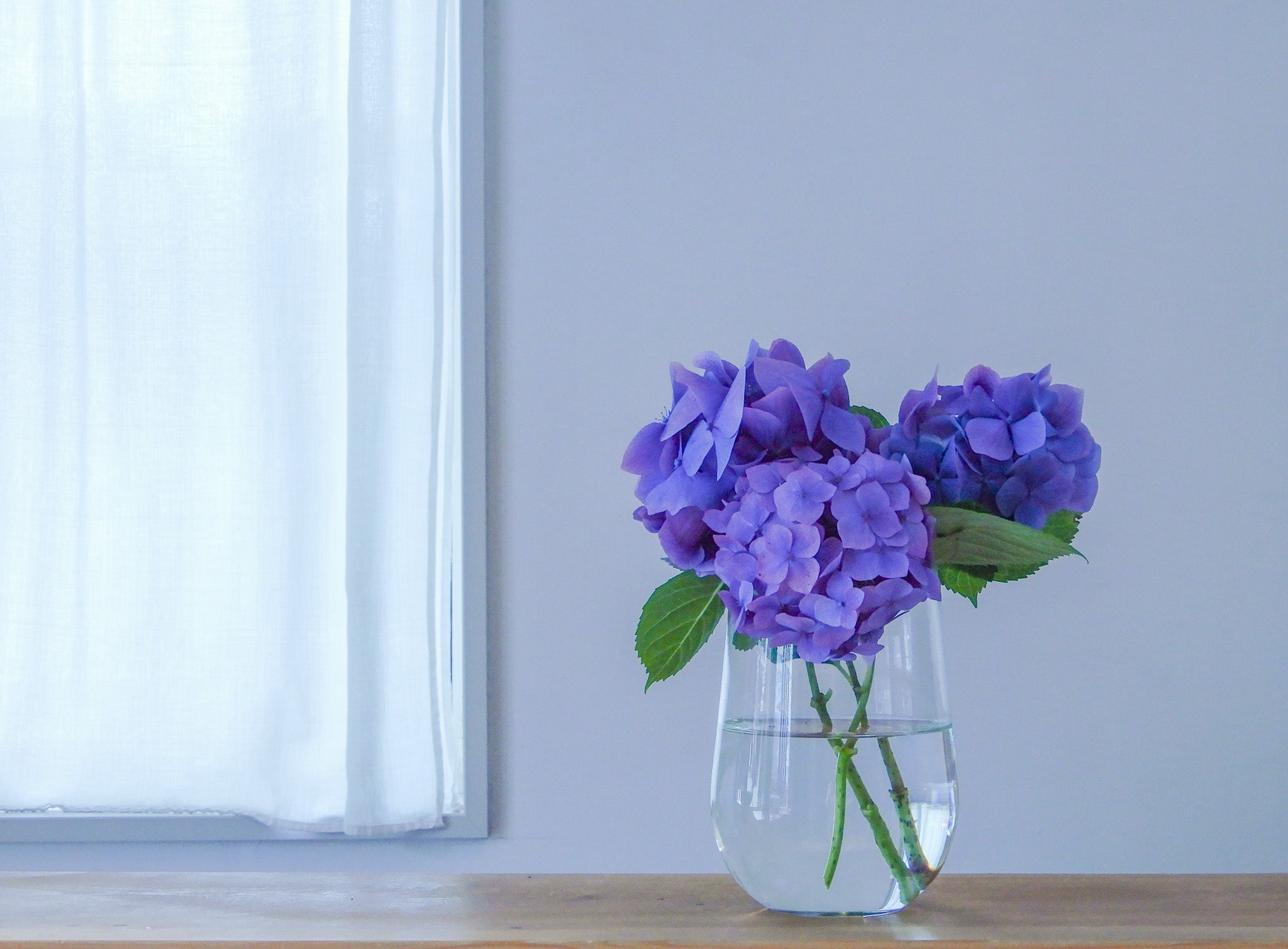 サイトリニューアルのお知らせ