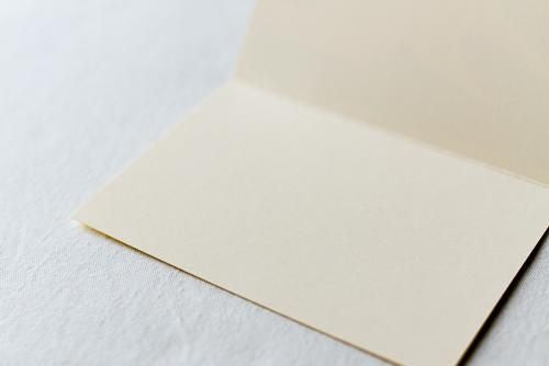 인사말 카드 Snow Goose