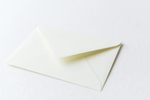 인사말 카드 Snow Goose