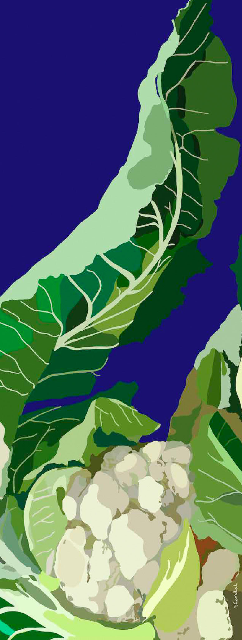 ウールヴェジタブルストール Cauliflower