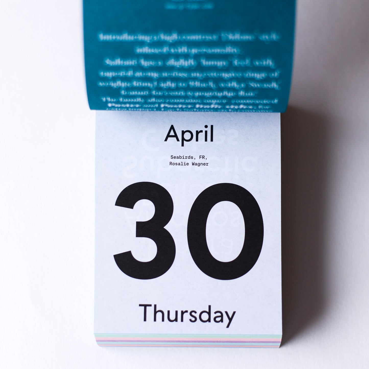 TYPODARIUM 2026 カレンダー