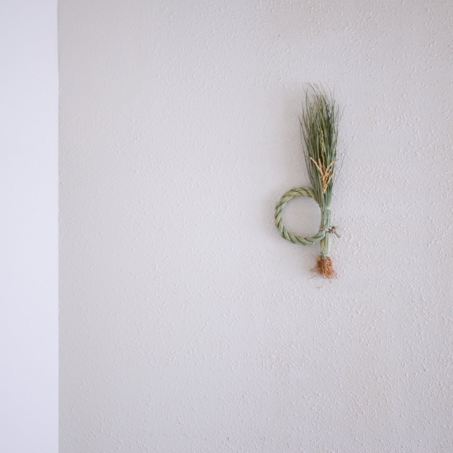 根付き藁稲穂飾り L