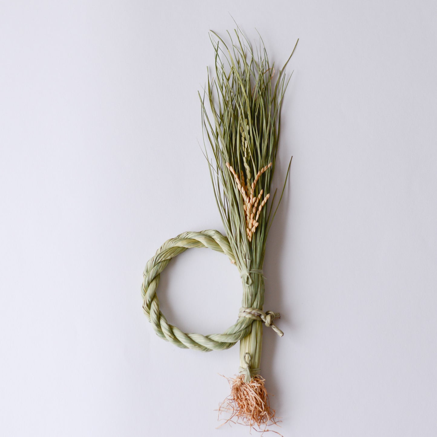根付き藁稲穂飾り L
