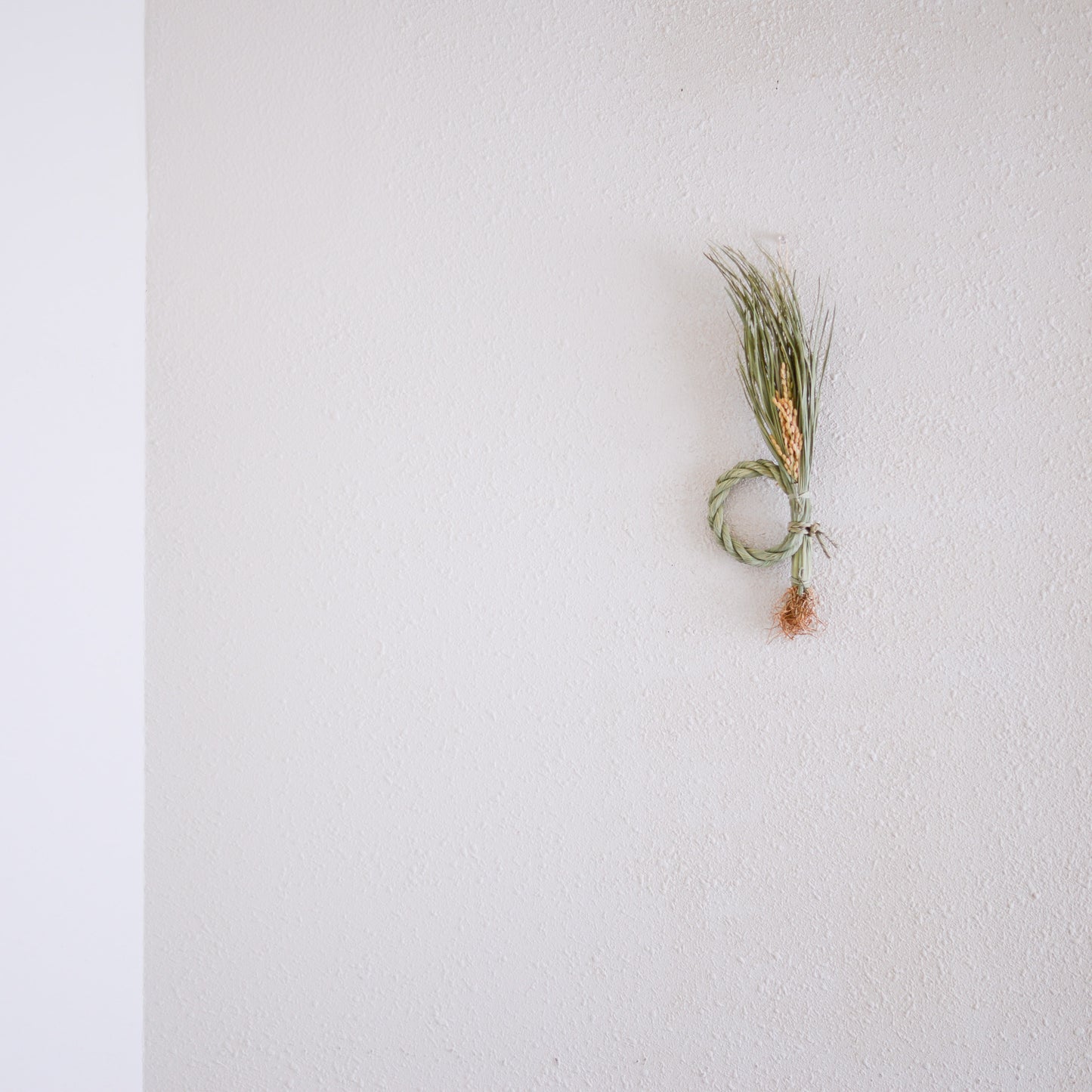 根付き藁稲穂飾り S